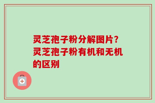 灵芝孢子粉分解图片?灵芝孢子粉有机和无机的区别-第1张图片-卓越灵芝孢子粉 灵芝孢子粉分解图片?灵芝孢子粉有机和无机的区别-第1张图片-卓越灵芝孢子粉