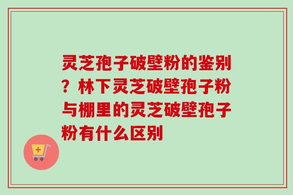 灵芝孢子破壁粉的鉴别?林下灵芝破壁孢子粉与棚里的灵芝破壁孢子粉有什么区别-第1张图片-卓越灵芝孢子粉 灵芝孢子破壁粉的鉴别?林下灵芝破壁孢子粉与棚里的灵芝破壁孢子粉有什么区别-第1张图片-卓越灵芝孢子粉