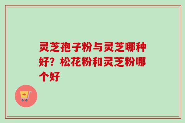 灵芝孢子粉与灵芝哪种好?松花粉和灵芝粉哪个好-第1张图片-卓越灵芝孢子粉 灵芝孢子粉与灵芝哪种好?松花粉和灵芝粉哪个好-第1张图片-卓越灵芝孢子粉