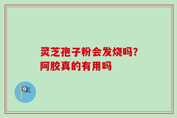 灵芝孢子粉会发烧吗？阿胶真的有用吗-第1张图片-卓越灵芝孢子粉