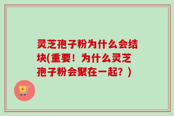 灵芝孢子粉为什么会结块(重要!为什么灵芝孢子粉会聚在一起?)-第1张图片-卓越灵芝孢子粉 灵芝孢子粉为什么会结块(重要!为什么灵芝孢子粉会聚在一起?)-第1张图片-卓越灵芝孢子粉
