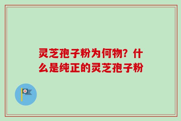 灵芝孢子粉为何物？什么是纯正的灵芝孢子粉-第1张图片-卓越灵芝孢子粉