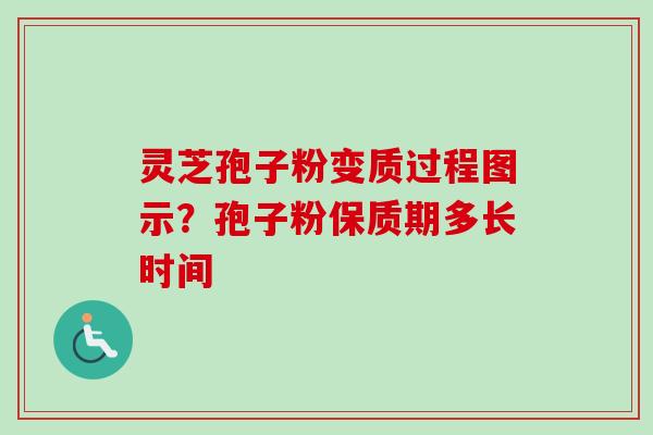 灵芝孢子粉变质过程图示？孢子粉保质期多长时间-第1张图片-卓越灵芝孢子粉