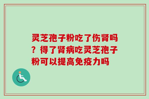 灵芝孢子粉吃了伤肾吗?得了肾病吃灵芝孢子粉可以提高免疫力吗-第1张图片-卓越灵芝孢子粉 灵芝孢子粉吃了伤肾吗?得了肾病吃灵芝孢子粉可以提高免疫力吗-第1张图片-卓越灵芝孢子粉
