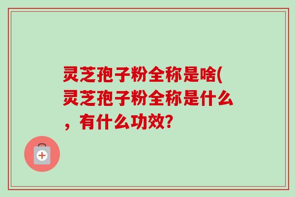 灵芝孢子粉全称是啥(灵芝孢子粉全称是什么,有什么功效?-第1张图片-卓越灵芝孢子粉 灵芝孢子粉全称是啥(灵芝孢子粉全称是什么,有什么功效?-第1张图片-卓越灵芝孢子粉