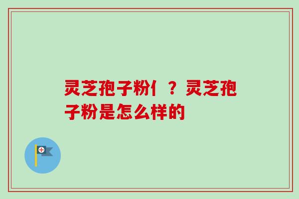 灵芝孢子粉亻?灵芝孢子粉是怎么样的-第1张图片-卓越灵芝孢子粉 灵芝孢子粉亻?灵芝孢子粉是怎么样的-第1张图片-卓越灵芝孢子粉
