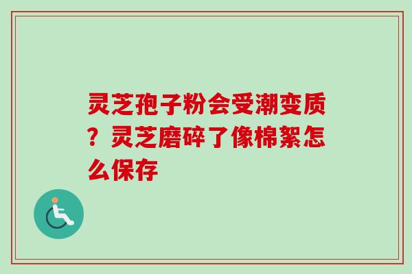 灵芝孢子粉会受潮变质?灵芝磨碎了像棉絮怎么保存-第1张图片-卓越灵芝孢子粉 灵芝孢子粉会受潮变质?灵芝磨碎了像棉絮怎么保存-第1张图片-卓越灵芝孢子粉