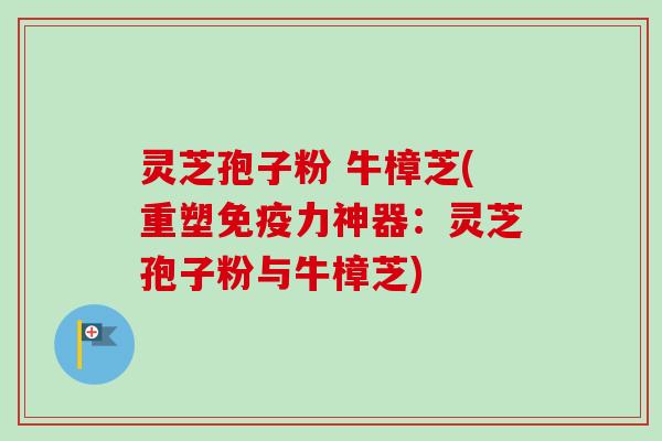 灵芝孢子粉 牛樟芝(重塑免疫力神器:灵芝孢子粉与牛樟芝)-第1张图片-卓越灵芝孢子粉 灵芝孢子粉 牛樟芝(重塑免疫力神器:灵芝孢子粉与牛樟芝)-第1张图片-卓越灵芝孢子粉