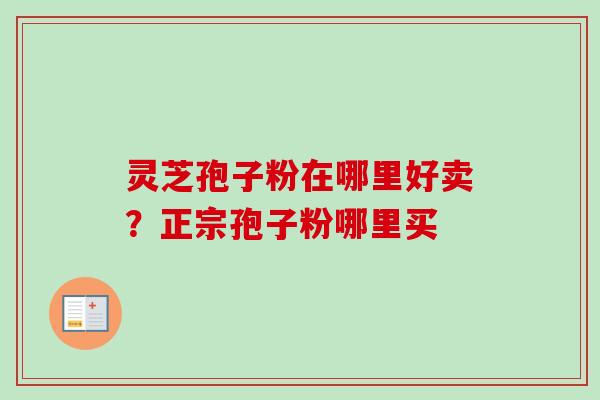 灵芝孢子粉在哪里好卖？正宗孢子粉哪里买-第1张图片-卓越灵芝孢子粉
