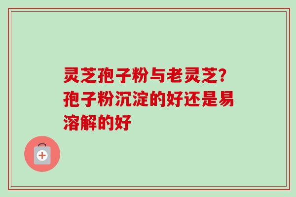灵芝孢子粉与老灵芝？孢子粉沉淀的好还是易溶解的好-第1张图片-卓越灵芝孢子粉