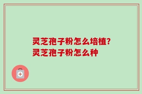灵芝孢子粉怎么培植？灵芝孢子粉怎么种-第1张图片-卓越灵芝孢子粉