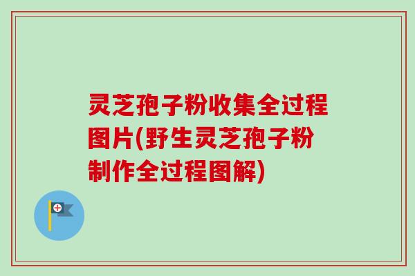 灵芝孢子粉收集全过程图片(野生灵芝孢子粉制作全过程图解)-第1张图片-卓越灵芝孢子粉