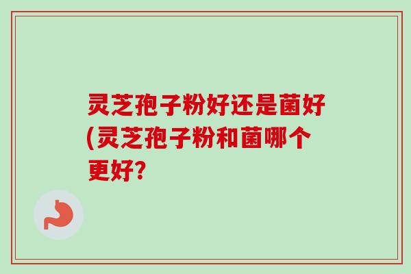 灵芝孢子粉好还是菌好(灵芝孢子粉和菌哪个更好？-第1张图片-卓越灵芝孢子粉
