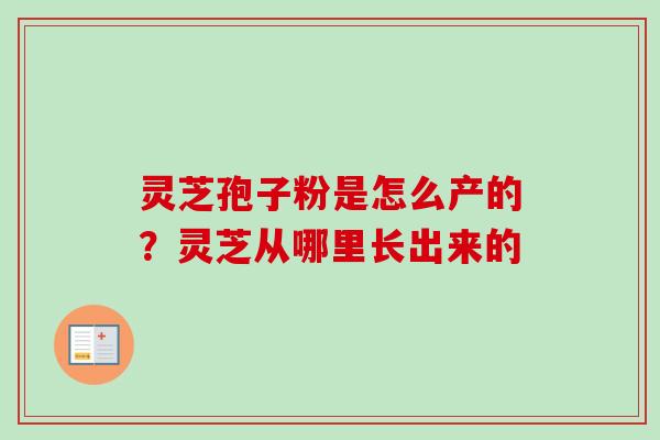 灵芝孢子粉是怎么产的？灵芝从哪里长出来的-第1张图片-卓越灵芝孢子粉