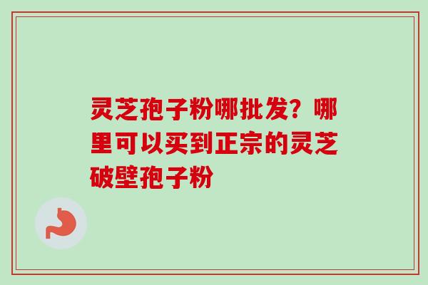 灵芝孢子粉哪批发？哪里可以买到正宗的灵芝破壁孢子粉-第1张图片-卓越灵芝孢子粉