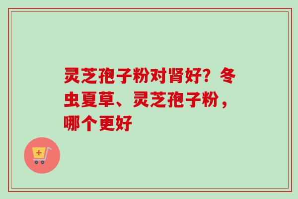 灵芝孢子粉对肾好?冬虫夏草、灵芝孢子粉,哪个更好-第1张图片-卓越灵芝孢子粉 灵芝孢子粉对肾好?冬虫夏草、灵芝孢子粉,哪个更好-第1张图片-卓越灵芝孢子粉