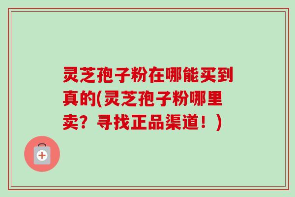 灵芝孢子粉在哪能买到真的(灵芝孢子粉哪里卖？寻找正品渠道！)-第1张图片-卓越灵芝孢子粉