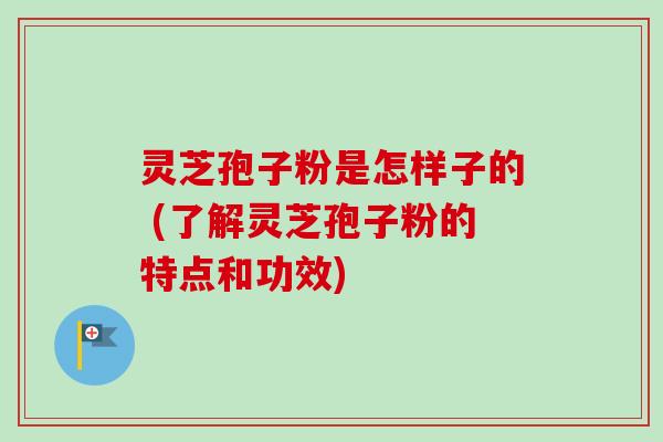 灵芝孢子粉是怎样子的 (了解灵芝孢子粉的特点和功效)-第1张图片-卓越灵芝孢子粉