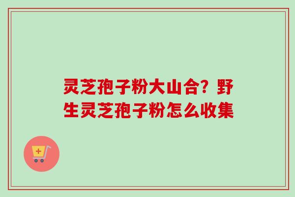 灵芝孢子粉大山合？野生灵芝孢子粉怎么收集-第1张图片-卓越灵芝孢子粉
