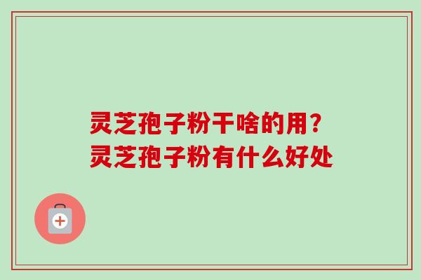 灵芝孢子粉干啥的用?灵芝孢子粉有什么好处-第1张图片-卓越灵芝孢子粉 灵芝孢子粉干啥的用?灵芝孢子粉有什么好处-第1张图片-卓越灵芝孢子粉