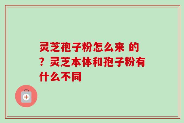 灵芝孢子粉怎么来 的?灵芝本体和孢子粉有什么不同-第1张图片-卓越灵芝孢子粉 灵芝孢子粉怎么来 的?灵芝本体和孢子粉有什么不同-第1张图片-卓越灵芝孢子粉