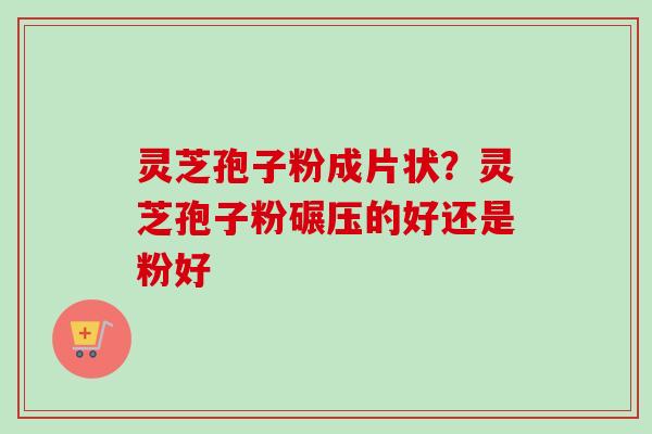 灵芝孢子粉成片状?灵芝孢子粉碾压的好还是粉好-第1张图片-卓越灵芝孢子粉 灵芝孢子粉成片状?灵芝孢子粉碾压的好还是粉好-第1张图片-卓越灵芝孢子粉