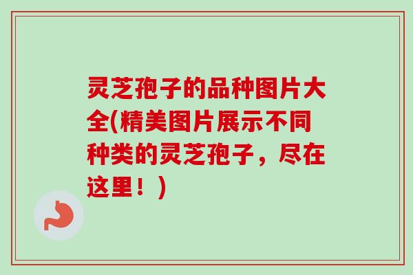灵芝孢子的品种图片大全(精美图片展示不同种类的灵芝孢子，尽在这里！)-第1张图片-卓越灵芝孢子粉