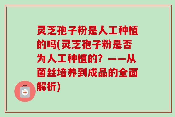 灵芝孢子粉是人工种植的吗(灵芝孢子粉是否为人工种植的?——从菌丝培养到成品的全面解析)-第1张图片-卓越灵芝孢子粉 灵芝孢子粉是人工种植的吗(灵芝孢子粉是否为人工种植的?——从菌丝培养到成品的全面解析)-第1张图片-卓越灵芝孢子粉