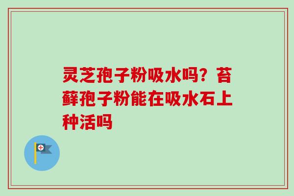 灵芝孢子粉吸水吗?苔藓孢子粉能在吸水石上种活吗-第1张图片-卓越灵芝孢子粉 灵芝孢子粉吸水吗?苔藓孢子粉能在吸水石上种活吗-第1张图片-卓越灵芝孢子粉