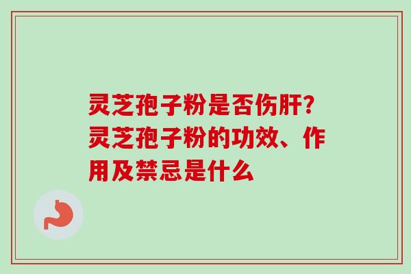 灵芝孢子粉是否伤肝？灵芝孢子粉的功效、作用及禁忌是什么-第1张图片-卓越灵芝孢子粉