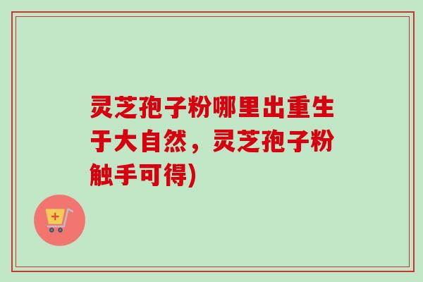 灵芝孢子粉哪里出重生于大自然，灵芝孢子粉触手可得)-第1张图片-卓越灵芝孢子粉