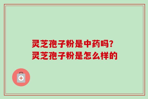 灵芝孢子粉是中药吗?灵芝孢子粉是怎么样的-第1张图片-卓越灵芝孢子粉 灵芝孢子粉是中药吗?灵芝孢子粉是怎么样的-第1张图片-卓越灵芝孢子粉