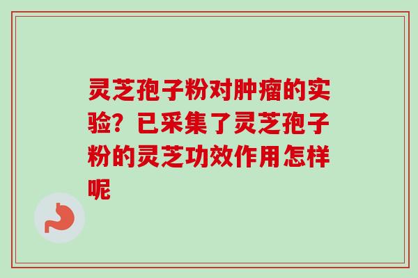 灵芝孢子粉对肿瘤的实验?已采集了灵芝孢子粉的灵芝功效作用怎样呢-第1张图片-卓越灵芝孢子粉 灵芝孢子粉对肿瘤的实验?已采集了灵芝孢子粉的灵芝功效作用怎样呢-第1张图片-卓越灵芝孢子粉