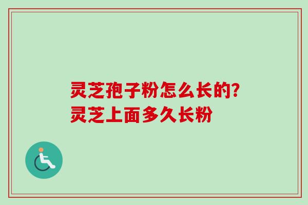 灵芝孢子粉怎么长的?灵芝上面多久长粉-第1张图片-卓越灵芝孢子粉 灵芝孢子粉怎么长的?灵芝上面多久长粉-第1张图片-卓越灵芝孢子粉