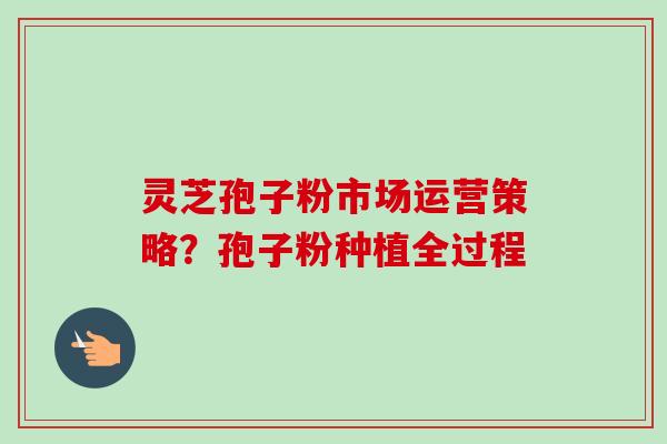 灵芝孢子粉市场运营策略?孢子粉种植全过程-第1张图片-卓越灵芝孢子粉 灵芝孢子粉市场运营策略?孢子粉种植全过程-第1张图片-卓越灵芝孢子粉