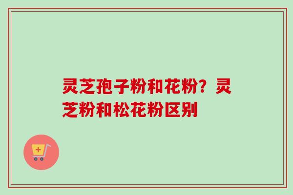 灵芝孢子粉和花粉？灵芝粉和松花粉区别-第1张图片-卓越灵芝孢子粉