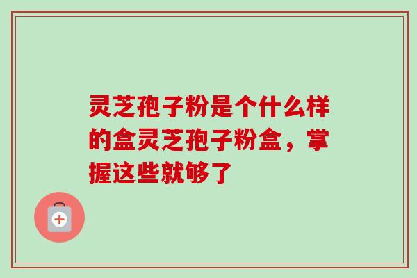 灵芝孢子粉是个什么样的盒灵芝孢子粉盒,掌握这些就够了-第1张图片-卓越灵芝孢子粉 灵芝孢子粉是个什么样的盒灵芝孢子粉盒,掌握这些就够了-第1张图片-卓越灵芝孢子粉