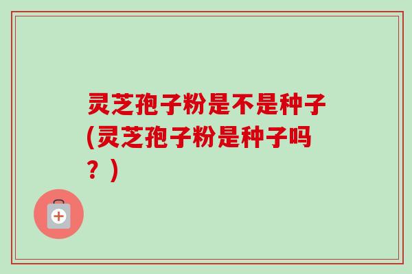 灵芝孢子粉是不是种子(灵芝孢子粉是种子吗?)-第1张图片-卓越灵芝孢子粉 灵芝孢子粉是不是种子(灵芝孢子粉是种子吗?)-第1张图片-卓越灵芝孢子粉