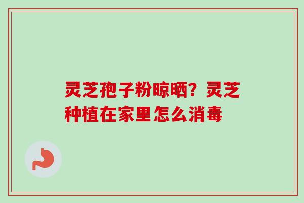 灵芝孢子粉晾晒?灵芝种植在家里怎么消毒-第1张图片-卓越灵芝孢子粉 灵芝孢子粉晾晒?灵芝种植在家里怎么消毒-第1张图片-卓越灵芝孢子粉