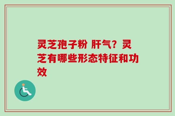 灵芝孢子粉 肝气?灵芝有哪些形态特征和功效-第1张图片-卓越灵芝孢子粉 灵芝孢子粉 肝气?灵芝有哪些形态特征和功效-第1张图片-卓越灵芝孢子粉