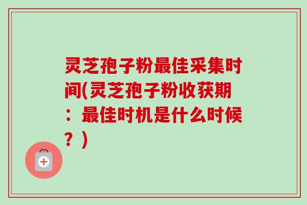灵芝孢子粉最佳采集时间(灵芝孢子粉收获期：最佳时机是什么时候？)-第1张图片-卓越灵芝孢子粉