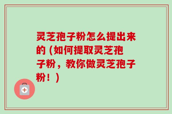 灵芝孢子粉怎么提出来的 (如何提取灵芝孢子粉，教你做灵芝孢子粉！)-第1张图片-卓越灵芝孢子粉