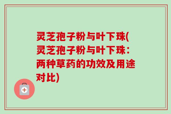 灵芝孢子粉与叶下珠(灵芝孢子粉与叶下珠:两种草药的功效及用途对比)-第1张图片-卓越灵芝孢子粉 灵芝孢子粉与叶下珠(灵芝孢子粉与叶下珠:两种草药的功效及用途对比)-第1张图片-卓越灵芝孢子粉