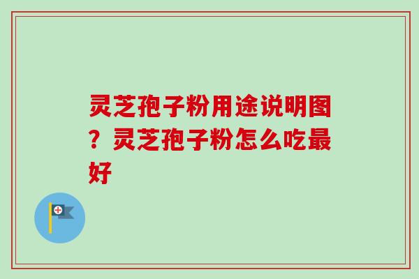 灵芝孢子粉用途说明图？灵芝孢子粉怎么吃最好-第1张图片-卓越灵芝孢子粉