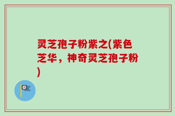 灵芝孢子粉紫之(紫色芝华,神奇灵芝孢子粉)-第1张图片-卓越灵芝孢子粉 灵芝孢子粉紫之(紫色芝华,神奇灵芝孢子粉)-第1张图片-卓越灵芝孢子粉