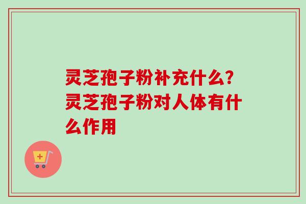 灵芝孢子粉补充什么?灵芝孢子粉对人体有什么作用-第1张图片-卓越灵芝孢子粉 灵芝孢子粉补充什么?灵芝孢子粉对人体有什么作用-第1张图片-卓越灵芝孢子粉