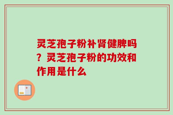 灵芝孢子粉补肾健脾吗？灵芝孢子粉的功效和作用是什么-第1张图片-卓越灵芝孢子粉