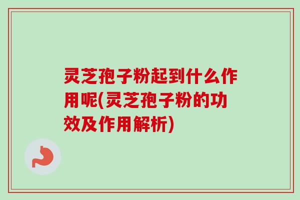 灵芝孢子粉起到什么作用呢(灵芝孢子粉的功效及作用解析)-第1张图片-卓越灵芝孢子粉