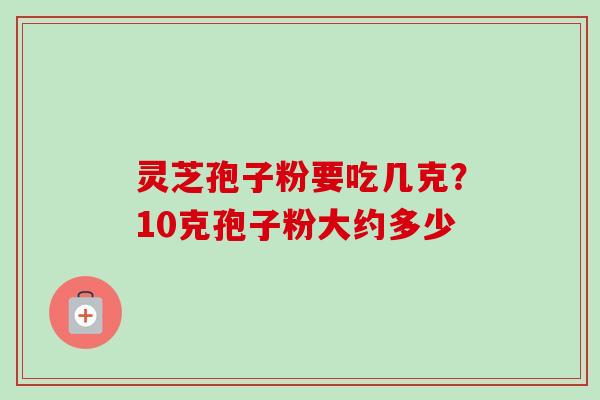 灵芝孢子粉要吃几克?10克孢子粉大约多少-第1张图片-卓越灵芝孢子粉 灵芝孢子粉要吃几克?10克孢子粉大约多少-第1张图片-卓越灵芝孢子粉