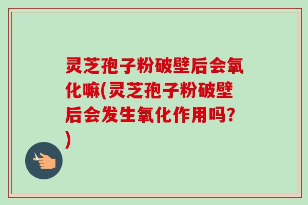 灵芝孢子粉破壁后会氧化嘛(灵芝孢子粉破壁后会发生氧化作用吗？)-第1张图片-卓越灵芝孢子粉